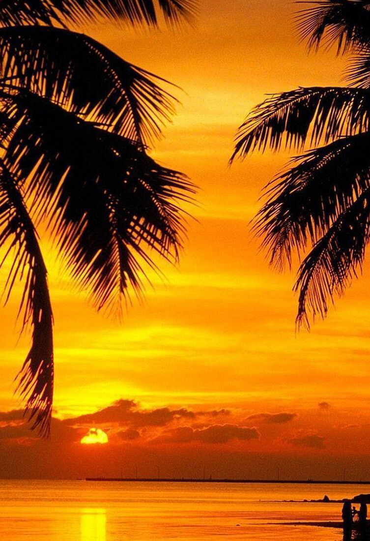 Cheap Flights to Florida Book Flight tickets to Florida